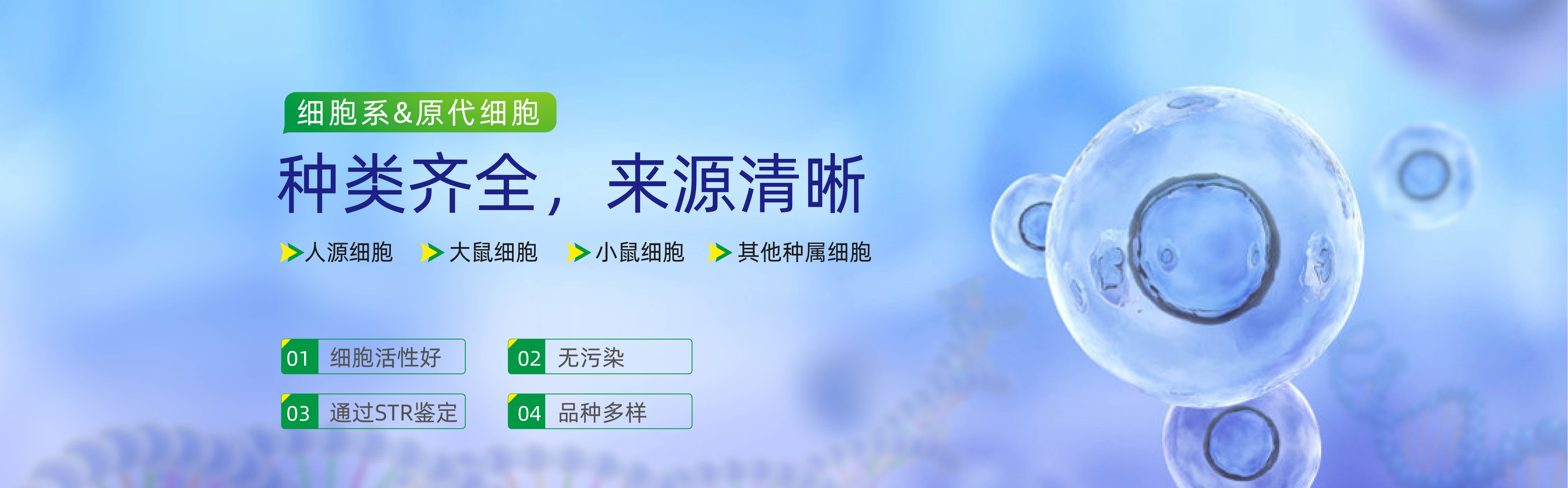 活力